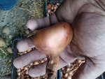 IMG_20120913_155441.jpg