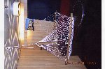 img013.jpg