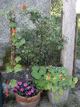 DSC04439.JPG