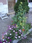 DSC04440.JPG