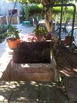 20120919_164640.jpg