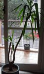 DSCF2095.jpg