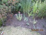 2012-09-22 après x.jpg