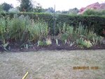 2012-09-22  fin 1x.jpg