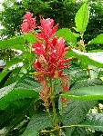 DSC00592.JPG