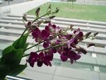 P9260004.JPG