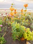 P1100023.JPG