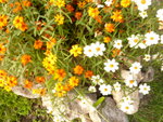P1100016.JPG