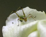 IMG_4149.JPG