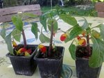2012-09-19 15.27.32.jpg