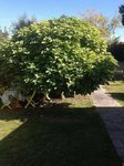 2012-09-30 13.43.16.jpg