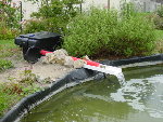 DSC05438.JPG