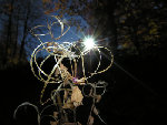 gic-automne00223_gd.jpg