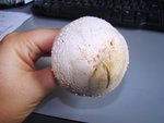 DSC09364.JPG