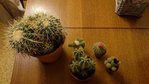 DSC_0114 2.jpg