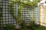 DSC_21772.jpg