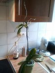 2012-10-07 12.37.08.jpg