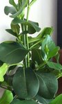 541280_3832250372865_1410835079_n bis2.jpg