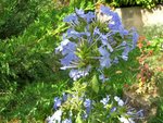 DSCN7728.jpg