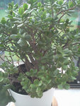 20120922_183813.jpg