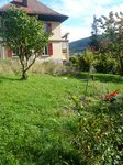 ici vu de loin avec le lilas et le petit champ d'herbes hautes