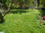 espace entre lilas et le dernier potager où je pense que je pourrais faire le mien