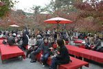 cest japonais11.JPG