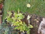 2012-10-13 12.04.23.jpg