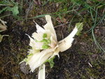 2012-10-13 12.04.41.jpg