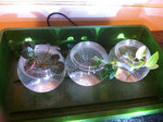 photo 1.jpg