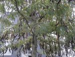 DSC03949.JPG