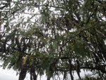 DSC03952.JPG
