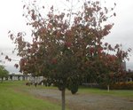 DSC03950.JPG