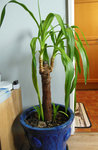 DSCN0430.JPG