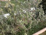 20102012367.jpg