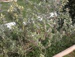 20102012367.jpg