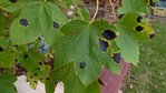 P1060348 (Copier).JPG
