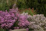 IMG_0143.JPG