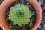 DSC04121.jpg