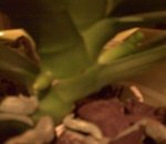 Photo015.jpg