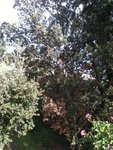 IMG_1724.JPG