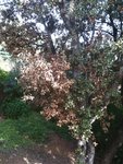 IMG_1721.JPG