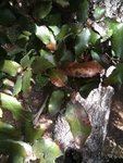 IMG_1723.JPG