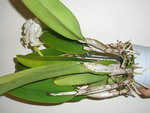 PA260146.JPG