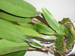 PA260147.JPG