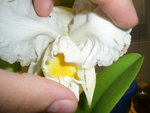 PA260148.JPG