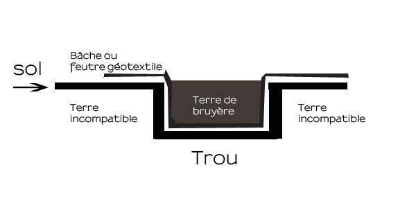 bache.png