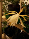 20121024_060917.jpg
