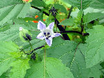 DSC01995@.jpg