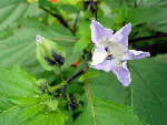 DSC01997@.jpg